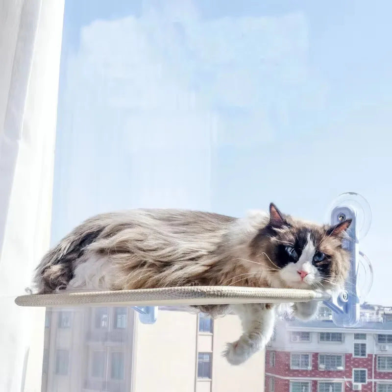 Cat Window Hammock – Foldable Suction Cup Sunbathing Bed
