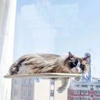 Cat Window Hammock – Foldable Suction Cup Sunbathing Bed