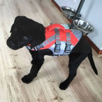 Reflective Dog Life Jacket – Adjustable Buoyancy Swim Vest