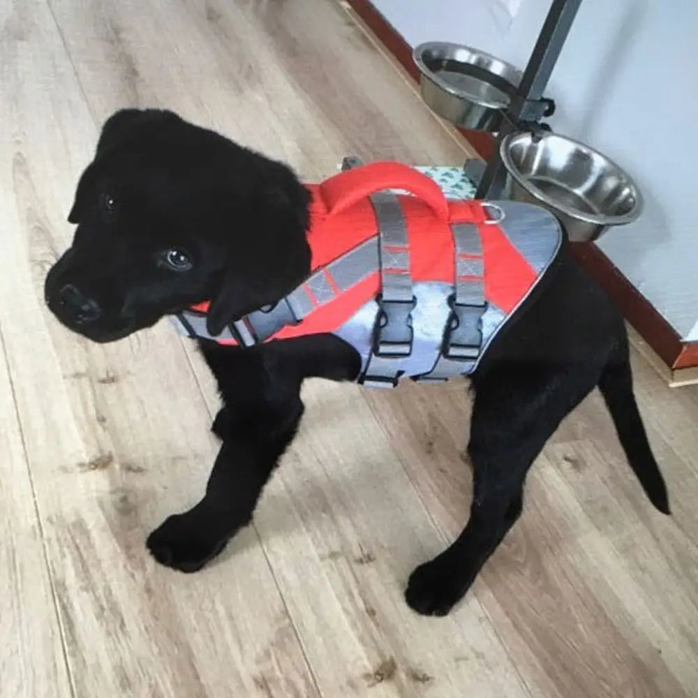 Reflective Dog Life Jacket – Adjustable Buoyancy Swim Vest