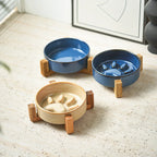 Anti-Choke Slow Feeder Dog Bowl – Non-Slip, Anti-Spill Pet Food Dish
