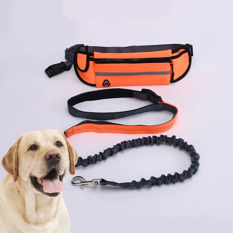 Hands-Free Dog Running Leash – Reflective Bungee Belt with Waist Bag