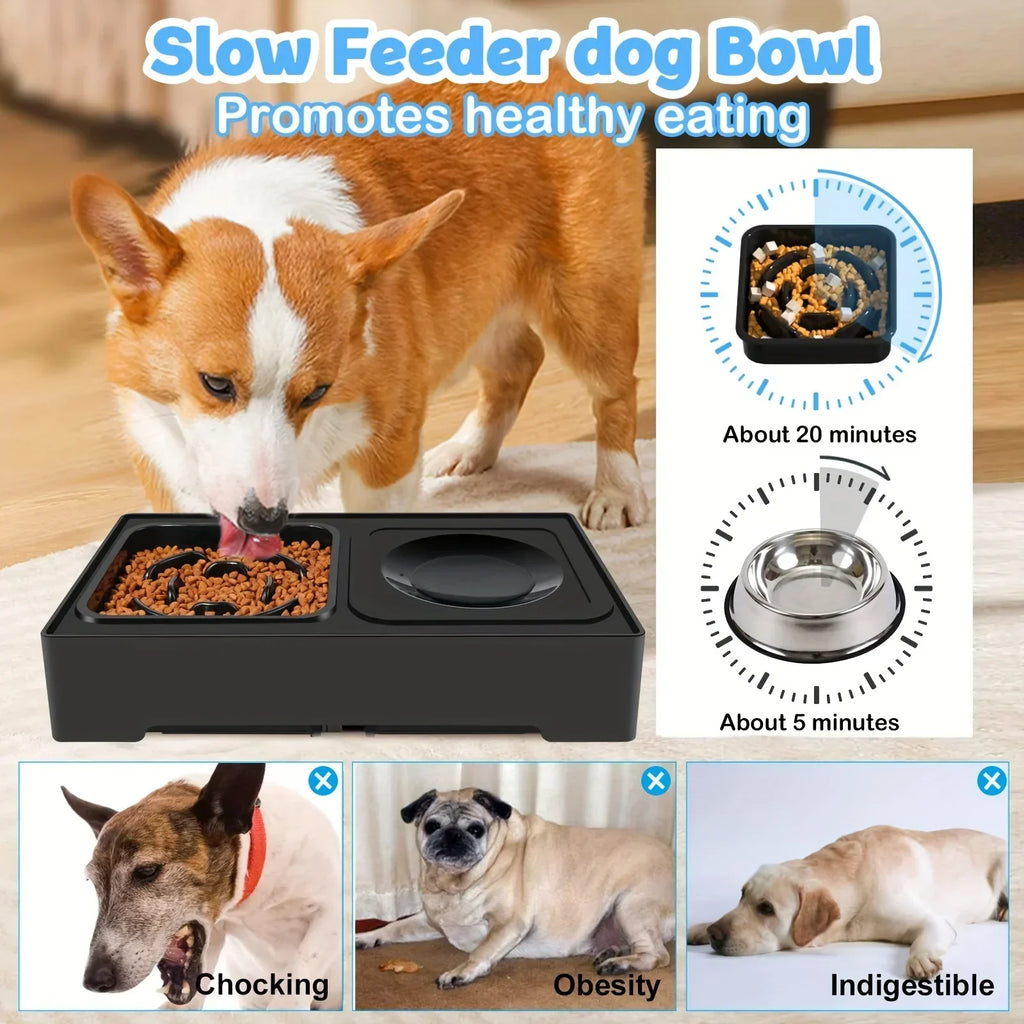 Elevated Double Dog Bowl Stand – Adjustable Height Slow Feeder Station
