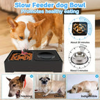 Elevated Double Dog Bowl Stand – Adjustable Height Slow Feeder Station