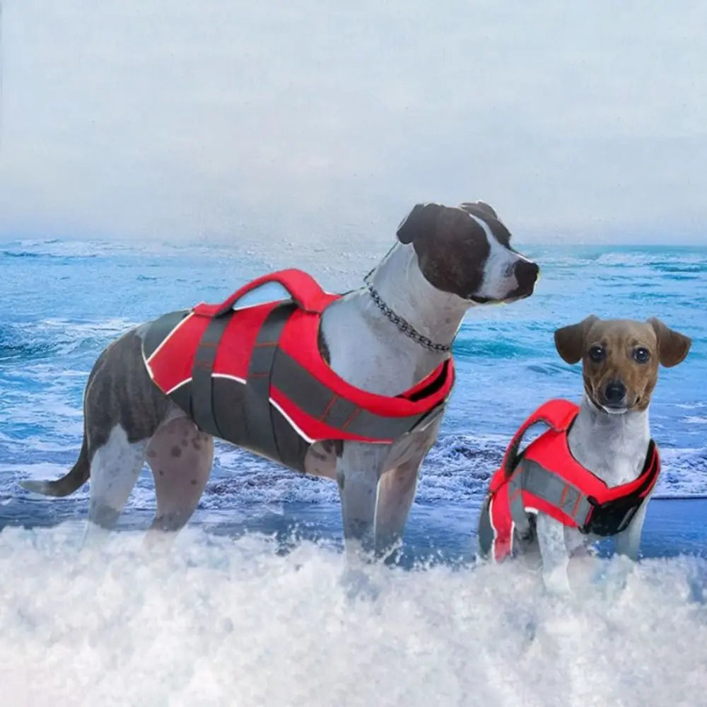 Reflective Dog Life Jacket – Adjustable Buoyancy Swim Vest