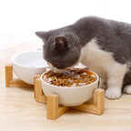 Ceramic Raised Pet Bowl – No-Spill Cartoon Dish for Cats & Small Dogs