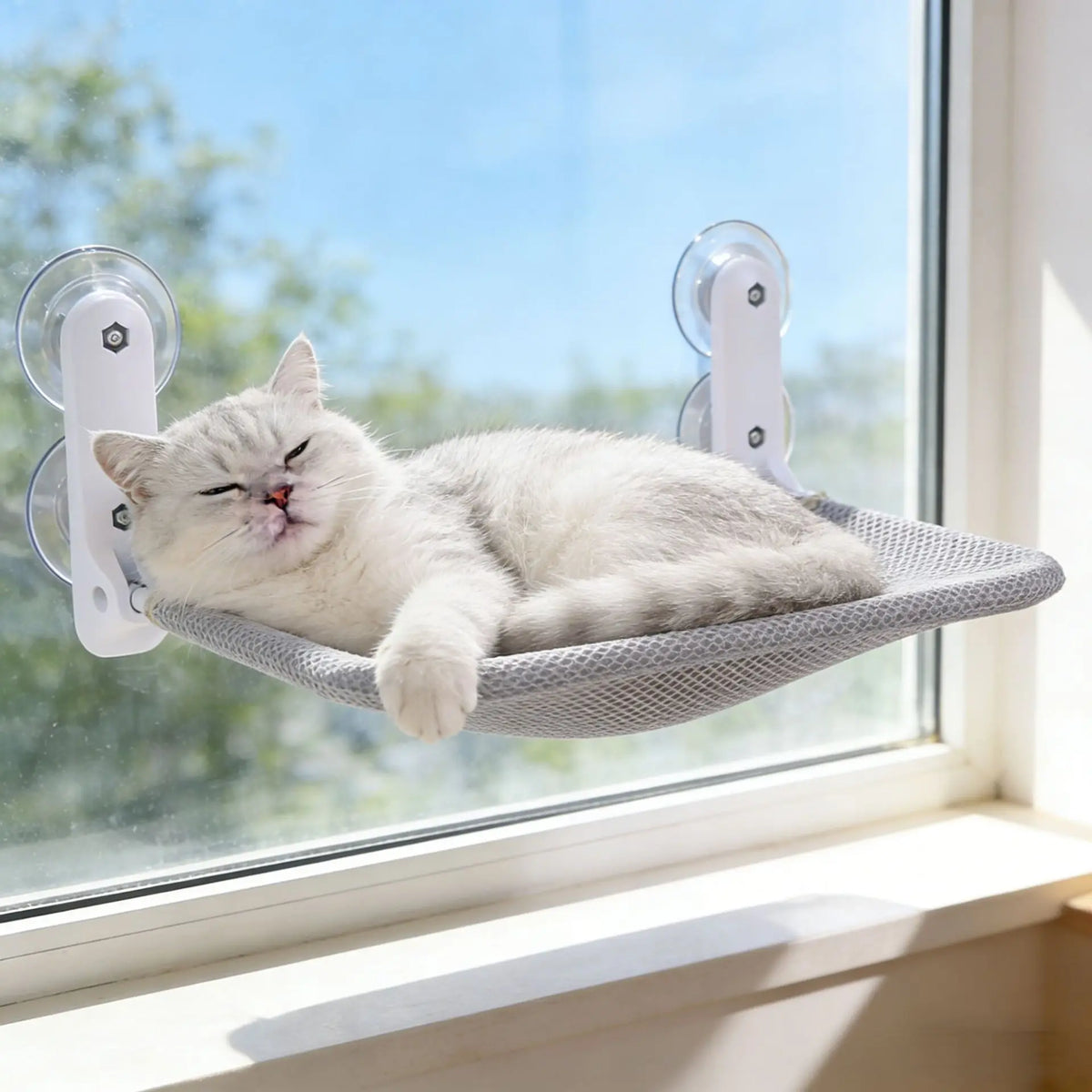Cat Window Hammock – Foldable Suction Cup Sunbathing Bed