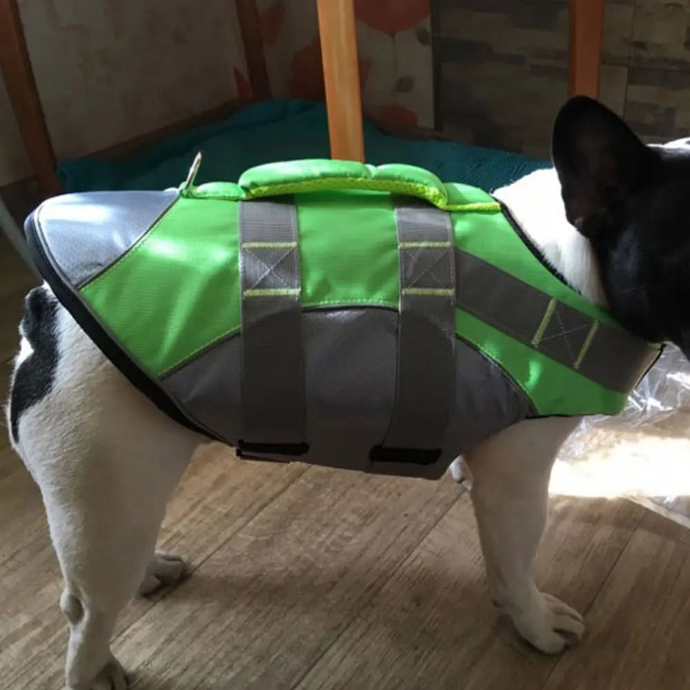 Reflective Dog Life Jacket – Adjustable Buoyancy Swim Vest