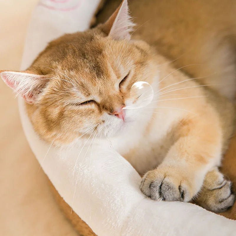Foldable Pet Sofa Cave – Washable Removable Bed for Cats & Small Dogs