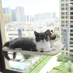Cat Window Hammock – Foldable Suction Cup Sunbathing Bed