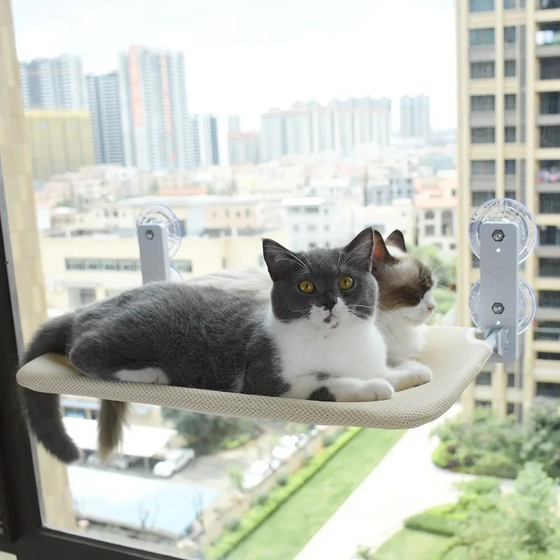 Cat Window Hammock – Foldable Suction Cup Sunbathing Bed
