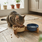Anti-Choking Slow Feeder Dog Bowl Non-Slip