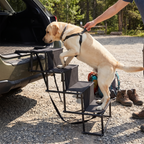 4-Step Foldable Dog Stairs and Car Ramp