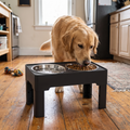 VAR::Feeder Bowl